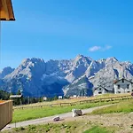 Alpenrose Misurina